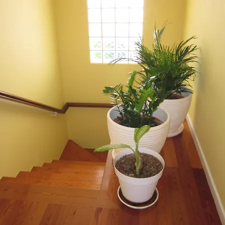 Hansen In Garajau - Cristo Rei