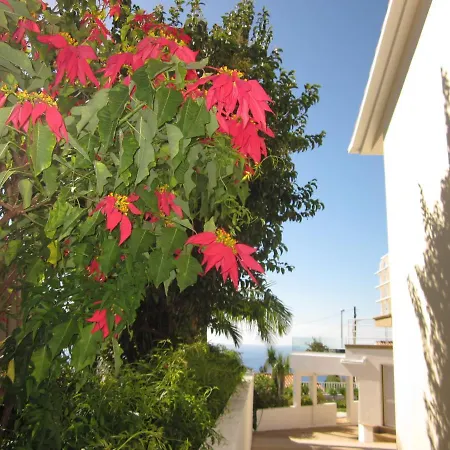 Villa Hansen In Funchal Suburb - Cristo Rei