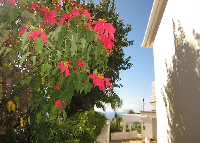 Villa Hansen In Madeira - Cristo Rei