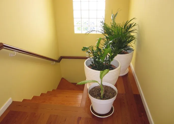 Hansen In Garajau - Cristo Rei